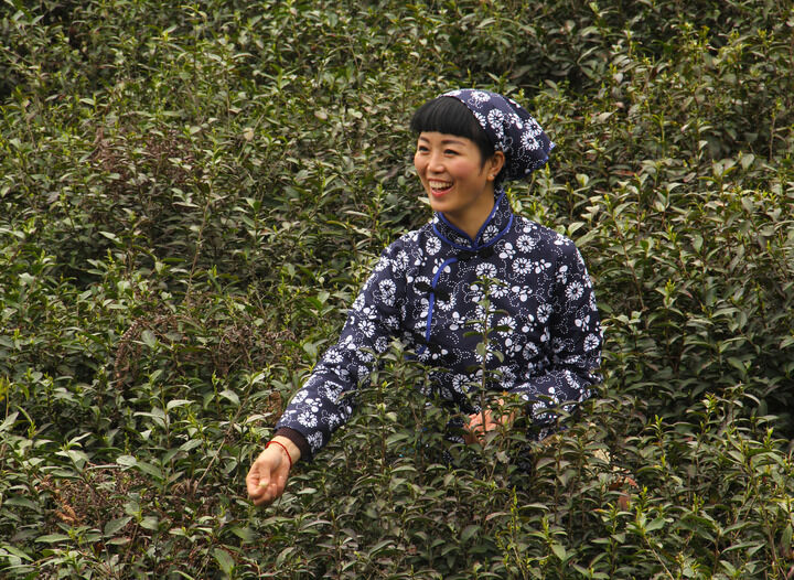 新更4